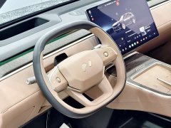 BMW Ledo L90 Max six-seater version - фото 7