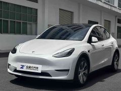 Tesla Model Y long-range all-wheel drive version - фото 1