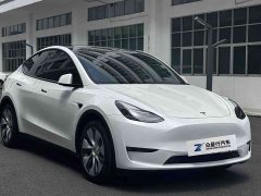 Tesla Model Y long-range all-wheel drive version - фото 3