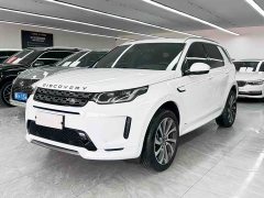 Lexus Discovery Sport 249PS R-Dynamic S Performance Edition - фото 1