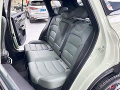 Geely Cowboy 1.5TD Fun Wild Edition - фото 13