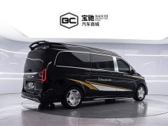 Mercedes-Benz V-Class (Imported) V 250 L - фото 3