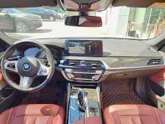BMW 5 Series facelift 525Li luxury package - фото 10