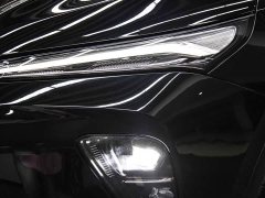 Lexus Envision S 25T enjoys the platinum version - фото 10