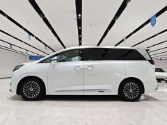 Denza D9 DM-i 980 four-wheel drive flagship - фото 3