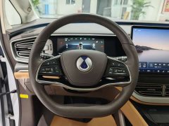Denza D9 DM-i 980 four-wheel drive flagship - фото 9