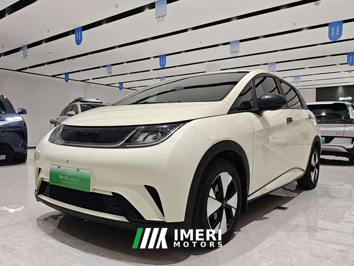 BYD Dolphin 420km Free Edition - автомобиль из Китая