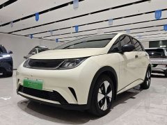 BYD Dolphin 420km Free Edition - фото 1