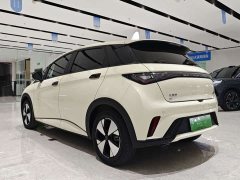 BYD Dolphin 420km Free Edition - фото 13