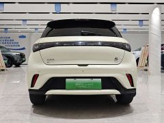 BYD Dolphin 420km Free Edition - фото 14