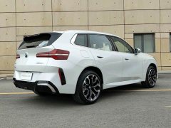 BMW X3 xDrive30L Leading Type M Sports Package - фото 10