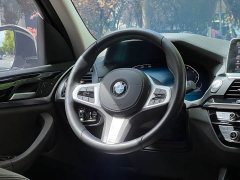 BMW X3 xDrive25i M Sports Package - фото 15