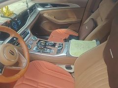 Hongqi H9 2022 2.0T Zhilianqi Chang Edition - фото 7