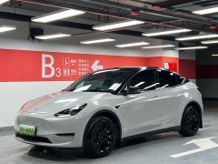 Tesla Model Y long-range all-wheel drive version - фото 1