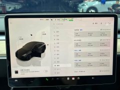 Tesla Model Y long-range all-wheel drive version - фото 10