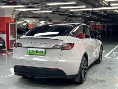 Tesla Model Y long-range all-wheel drive version - фото 13