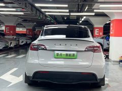 Tesla Model Y long-range all-wheel drive version - фото 14