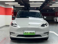 Tesla Model Y long-range all-wheel drive version - фото 4