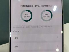 Li Auto Ideal i8 Standard Edition - фото 5