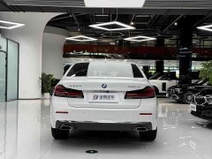 BMW 5 Series Facelift 2 530Li Exclusive Luxury Package - фото 12