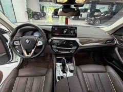 BMW 5 Series Facelift 2 530Li Exclusive Luxury Package - фото 4