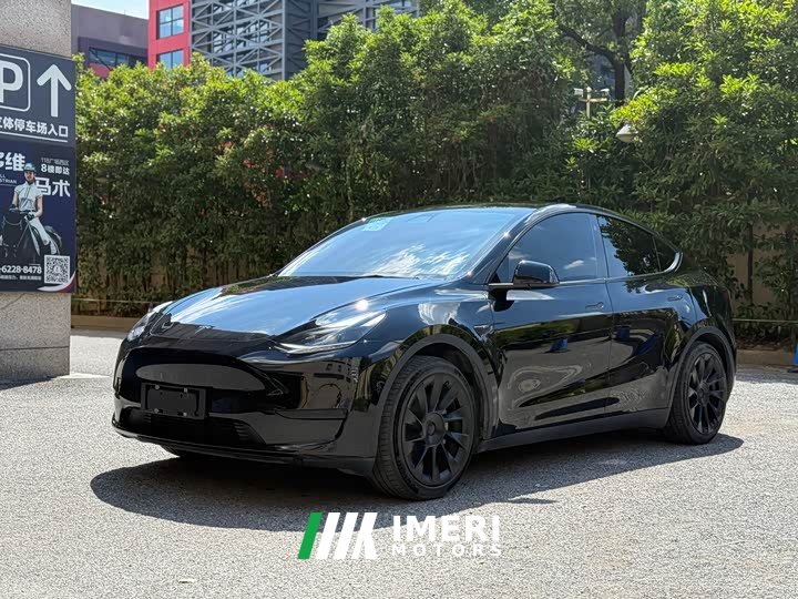 Tesla Model Y rear-wheel drive version - автомобиль из Китая