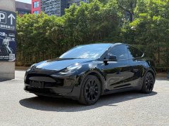Tesla Model Y rear-wheel drive version - фото 1
