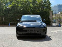 Tesla Model Y rear-wheel drive version - фото 2