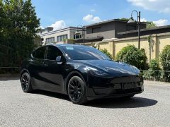 Tesla Model Y rear-wheel drive version - фото 3