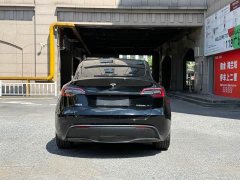 Tesla Model Y rear-wheel drive version - фото 8