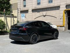 Tesla Model Y rear-wheel drive version - фото 9
