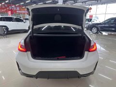BMW 3 Series 320Li M Sport Package - фото 18