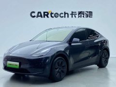 Tesla Model Y rear-wheel drive version - фото 1