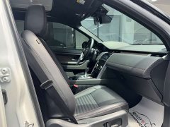 Lexus Discovery Sport 2020 249PS R-Dynamic Performance Edition - фото 10