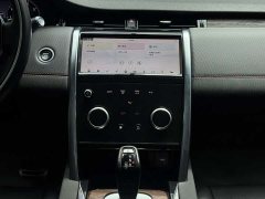 Lexus Discovery Sport 2020 249PS R-Dynamic Performance Edition - фото 12