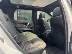 Lexus Discovery Sport 2020 249PS R-Dynamic Performance Edition - фото 15