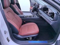 Lincoln Z 2022 iXiang Premium Edition - фото 14