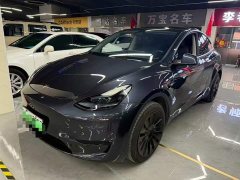 Tesla Model Y rear-wheel drive version - фото 1