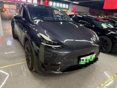 Tesla Model Y rear-wheel drive version - фото 2