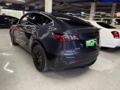 Tesla Model Y rear-wheel drive version - фото 6