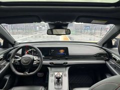 Trumpchi Shadow Leopard 2021 270T DCT J16 version - фото 19