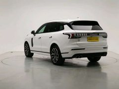 Lynk & Co 09 EM-P 2.0TD EM-P AWD Asian Games Executive Edition 5-Seater - фото 2
