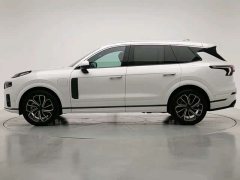 Lynk & Co 09 EM-P 2.0TD EM-P AWD Asian Games Executive Edition 5-Seater - фото 4