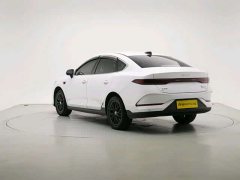 BYD Qin PLUS EV Intelligent Driving Edition 510KM Leading Trim - фото 5