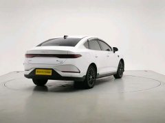 BYD Qin PLUS EV Intelligent Driving Edition 510KM Leading Trim - фото 9