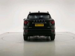 Haval Big Dog PLUS 2023 2.0T two-wheel drive wild version Plus - фото 4