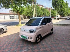 Wuling Hongguang MINIEV third generation 170km - фото 1