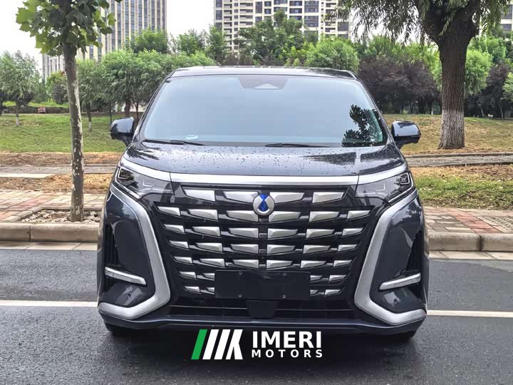Denza D9 2022 DM-i 1040 Premium Type - автомобиль из Китая