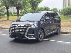 Denza D9 2022 DM-i 1040 Premium Type - фото 3
