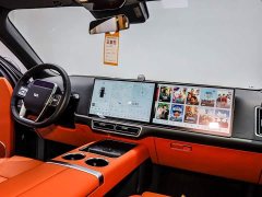 Li Auto Ideal L9 2022 Max - фото 18